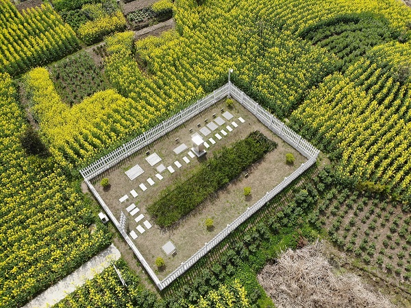 僅需2周，水質(zhì)就穩(wěn)定達(dá)標(biāo)！這種一體化生活污水處理設(shè)備供不應(yīng)求