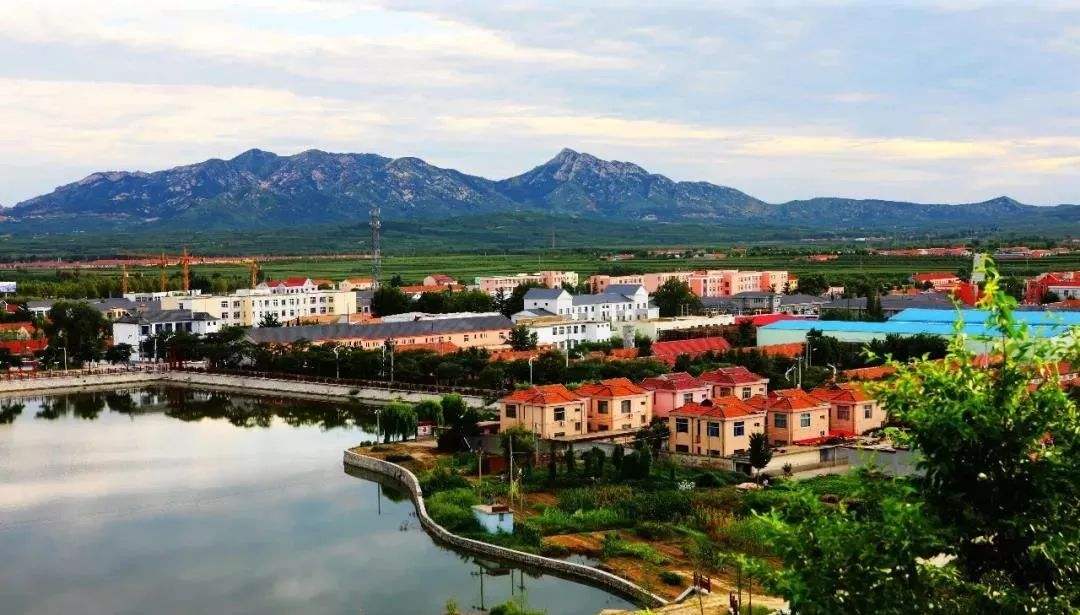 青島市“十四五”生態(tài)環(huán)境保護規(guī)劃了哪些農(nóng)村人居環(huán)境治理任務？