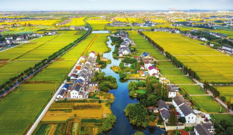 蘇州市十四五期間農(nóng)村水污染治理內容